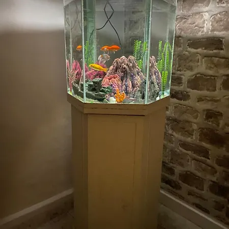 Gmchalkida 75τμ Chalkís