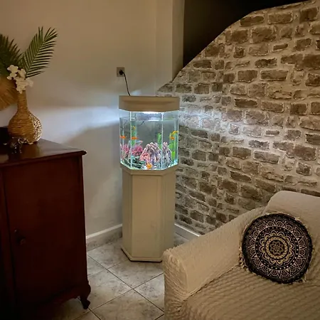 Appartement Gmchalkida 75τμ